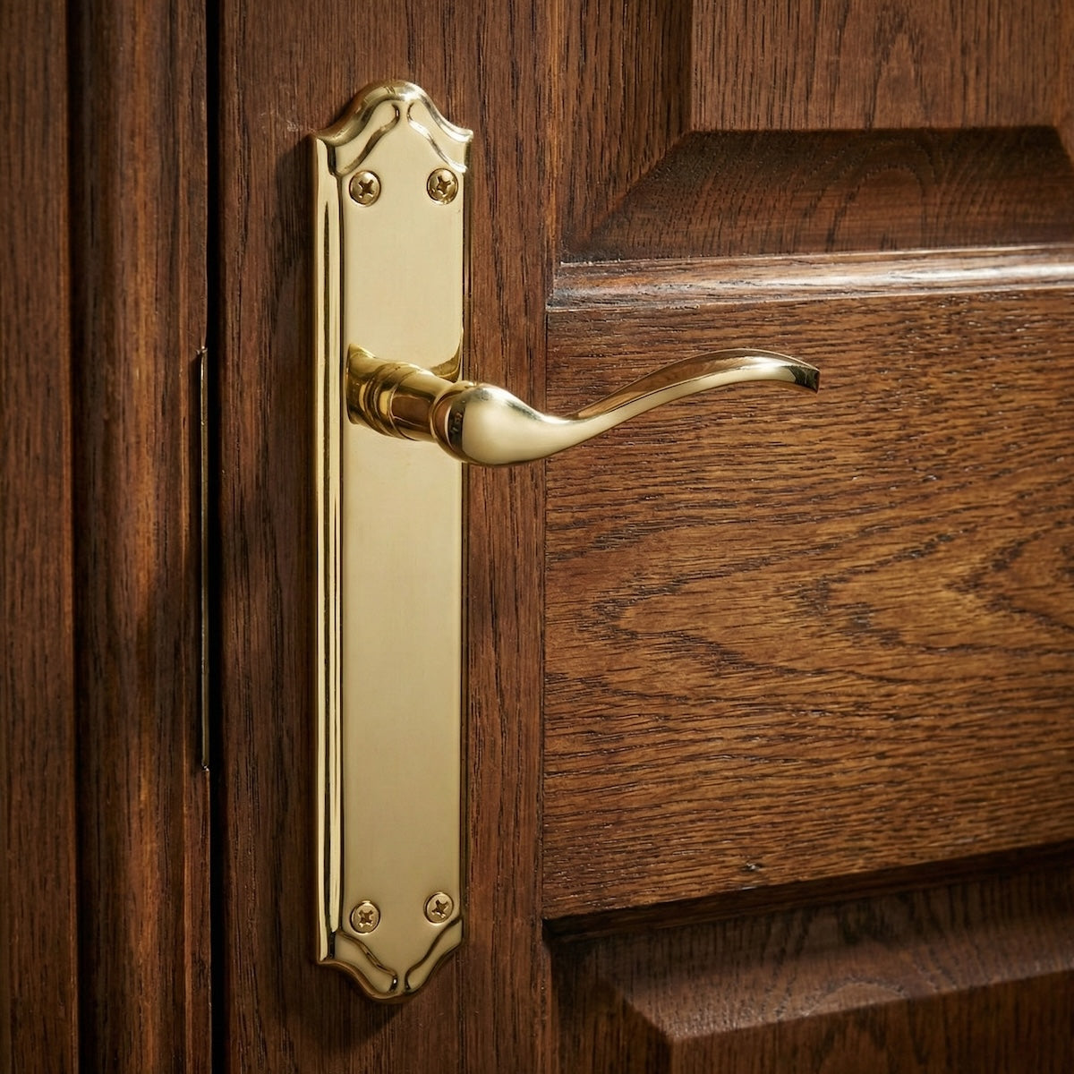LOREA PB-deurkruk met glanzend gouden aluminium schild voor deuren